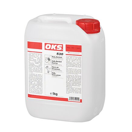 Exemplary representation: OKS 530, MoS 2 water-based bonded coating (canister)