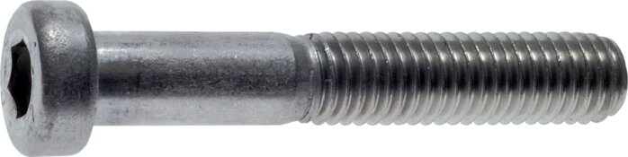 Exemplary representation: Hexagon socket screw DIN 6912 (stainless steel)